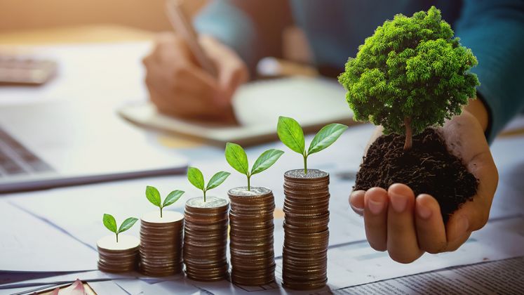 Waste Not, Want Not: How Consultants Drive Green Practices and Financial Savings