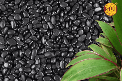 Why Natural Stone Is Still the Most Trusted Choice for Modern Landscaping?