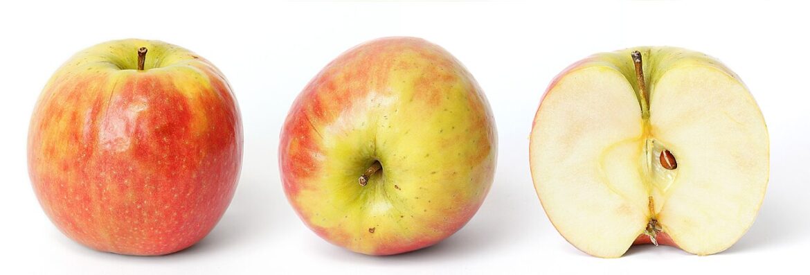 Apple health app: Best proven features coming soon