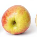 Apple health app