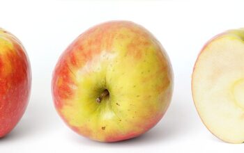 Apple health app