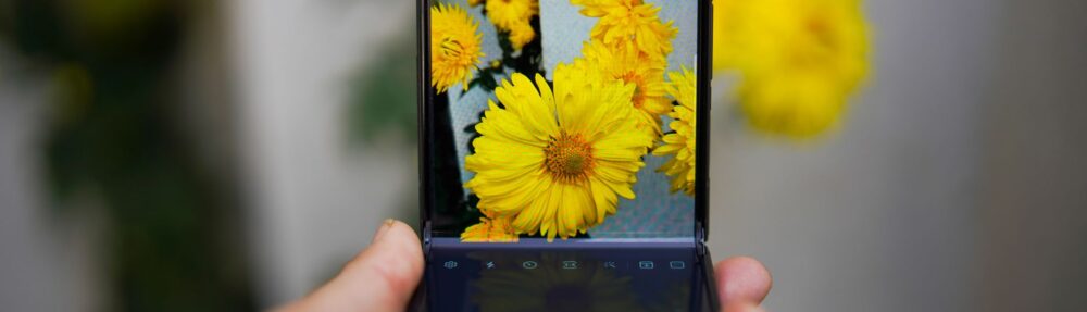 foldable smartphone